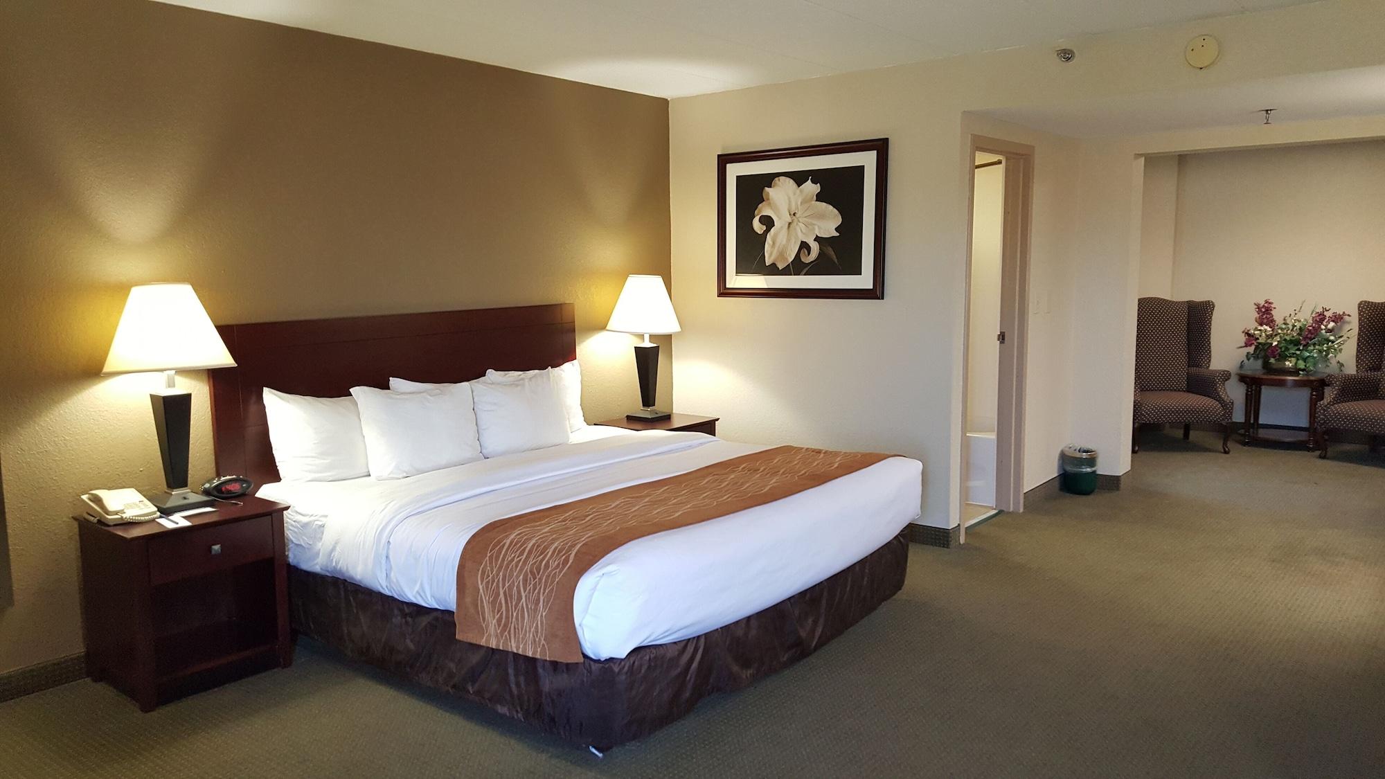 Comfort Inn Northeast Mason Kültér fotó
